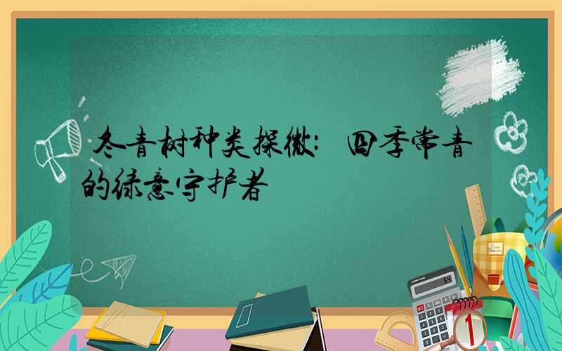 冬青树种类探微:四季常青的绿意守护者