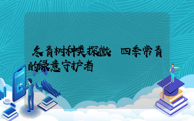 冬青树种类探微：四季常青的绿意守护者
