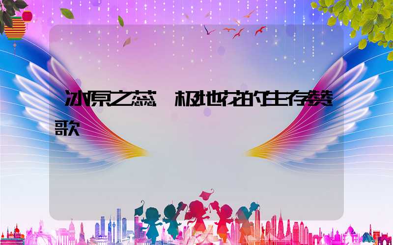 冰原之蕊:极地花的生存赞歌