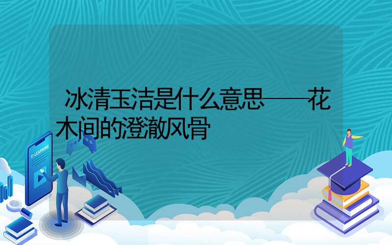 冰清玉洁是什么意思——花木间的澄澈风骨