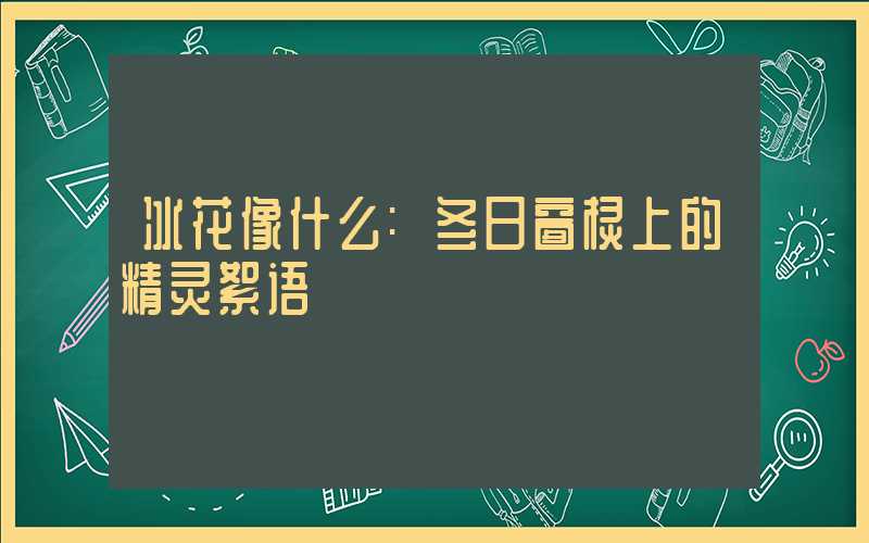 冰花像什么:冬日窗棂上的精灵絮语