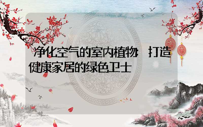 净化空气的室内植物:打造健康家居的绿色卫士