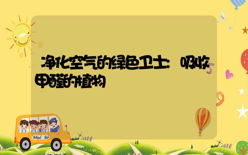 净化空气的绿色卫士:吸收甲醛的植物