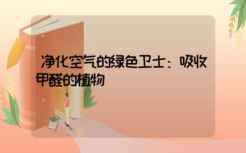 净化空气的绿色卫士：吸收甲醛的植物