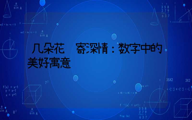几朵花语寄深情：数字中的美好寓意