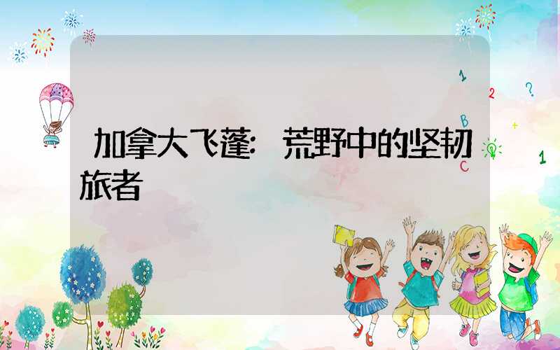 加拿大飞蓬:荒野中的坚韧旅者