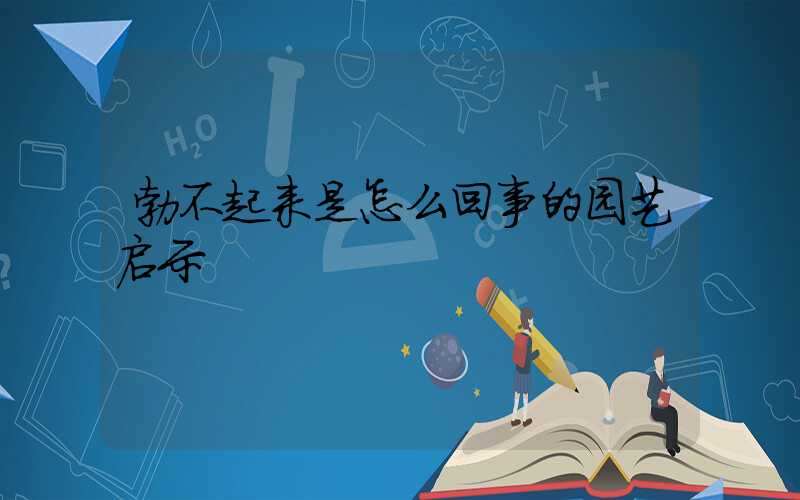 勃不起来是怎么回事的园艺启示