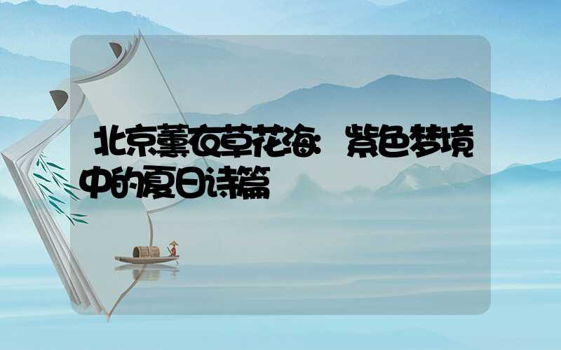 北京薰衣草花海:紫色梦境中的夏日诗篇