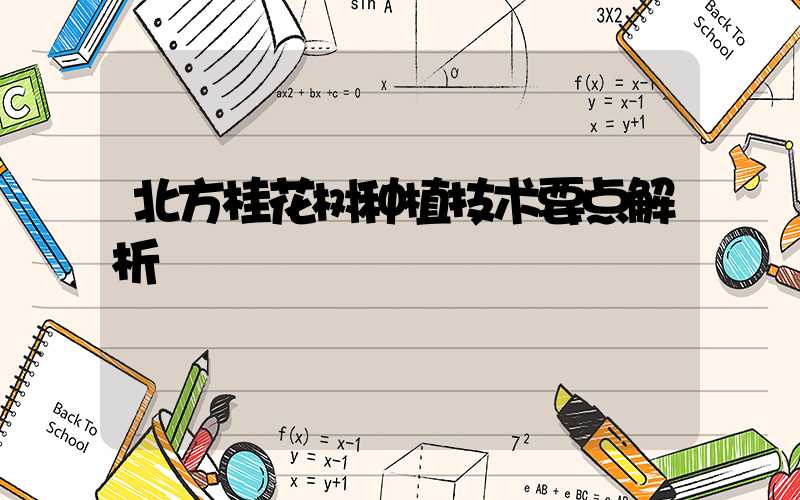 北方桂花树种植技术要点解析