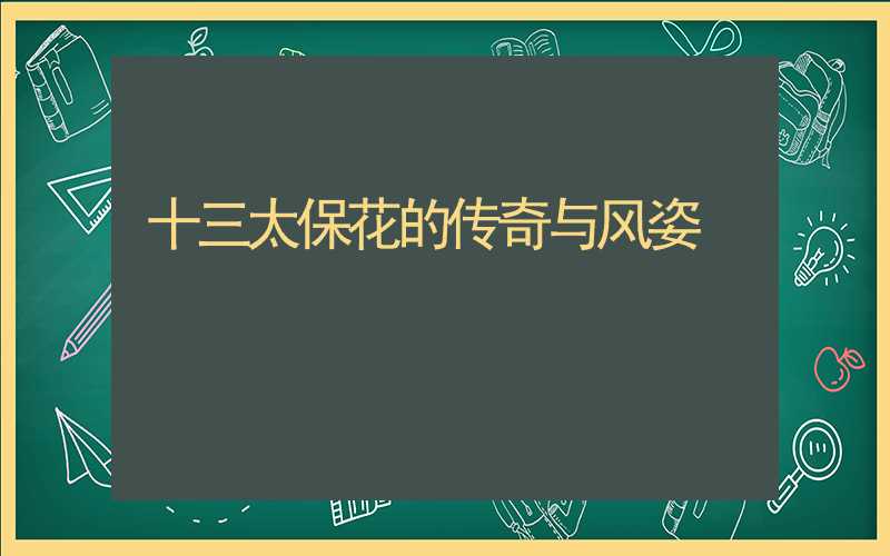 十三太保花的传奇与风姿