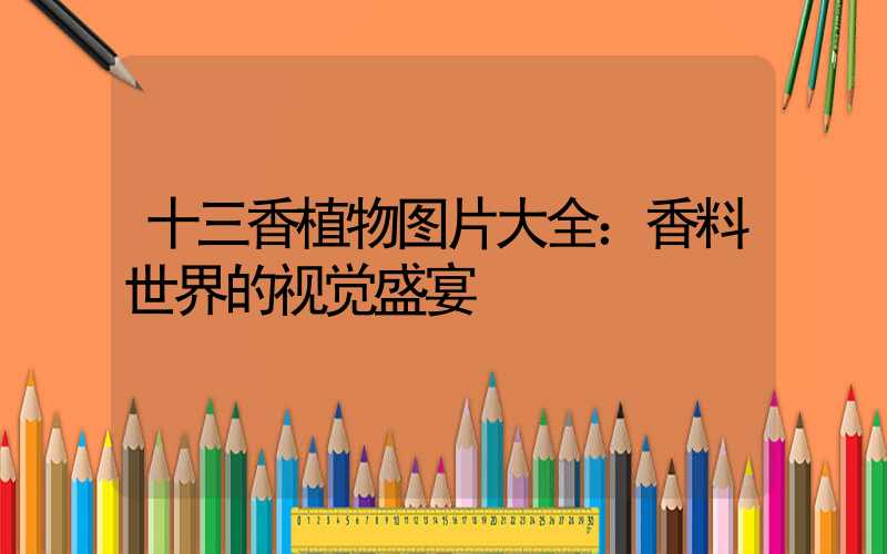 十三香植物图片大全：香料世界的视觉盛宴