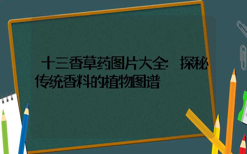 十三香草药图片大全:探秘传统香料的植物图谱