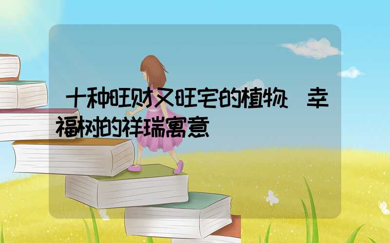 十种旺财又旺宅的植物:幸福树的祥瑞寓意
