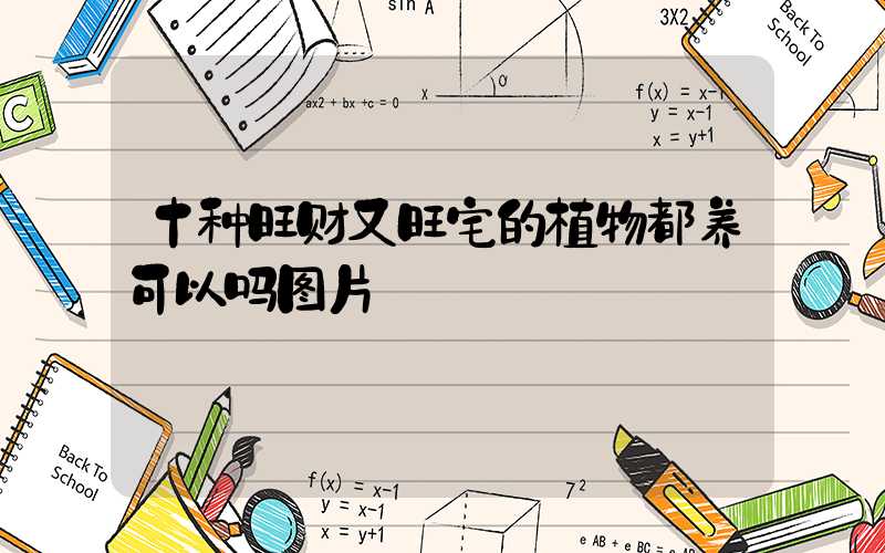 十种旺财又旺宅的植物都养可以吗图片