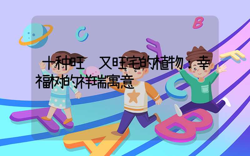 十种旺财又旺宅的植物：幸福树的祥瑞寓意