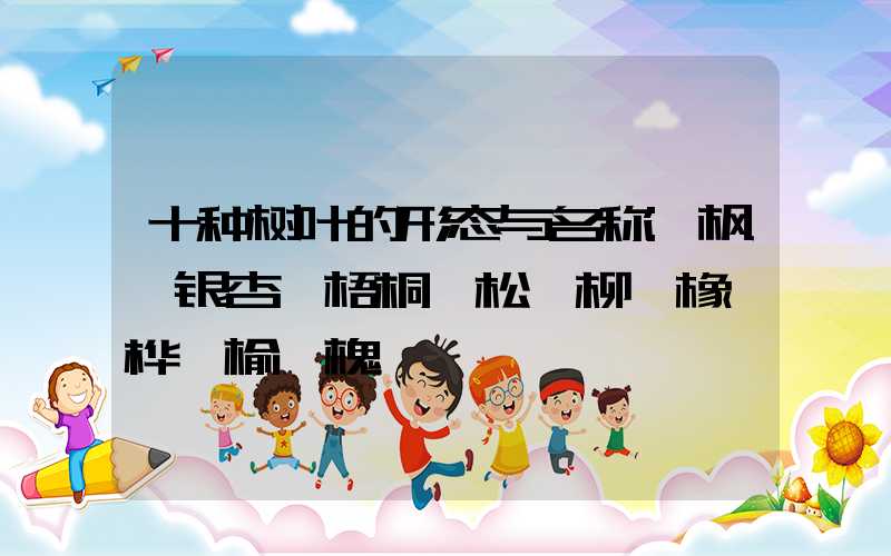十种树叶的形态与名称:枫、银杏、梧桐、松、柳、橡、桦、榆、槐、槭
