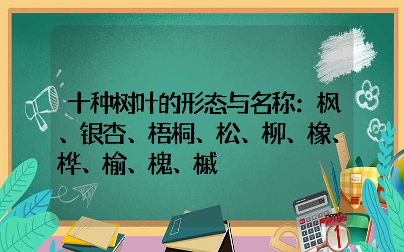 十种树叶的形态与名称：枫、银杏、梧桐、松、柳、橡、桦、榆、槐、槭