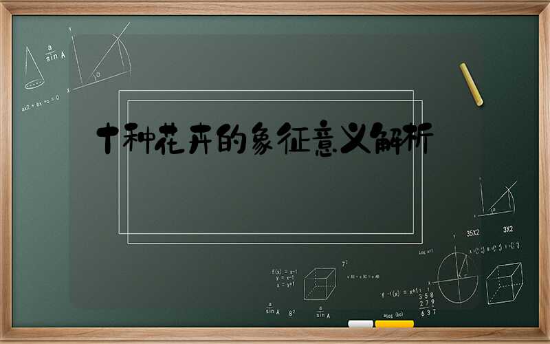 十种花卉的象征意义解析