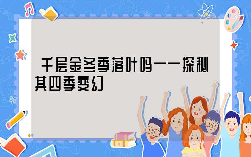 千层金冬季落叶吗——探秘其四季变幻