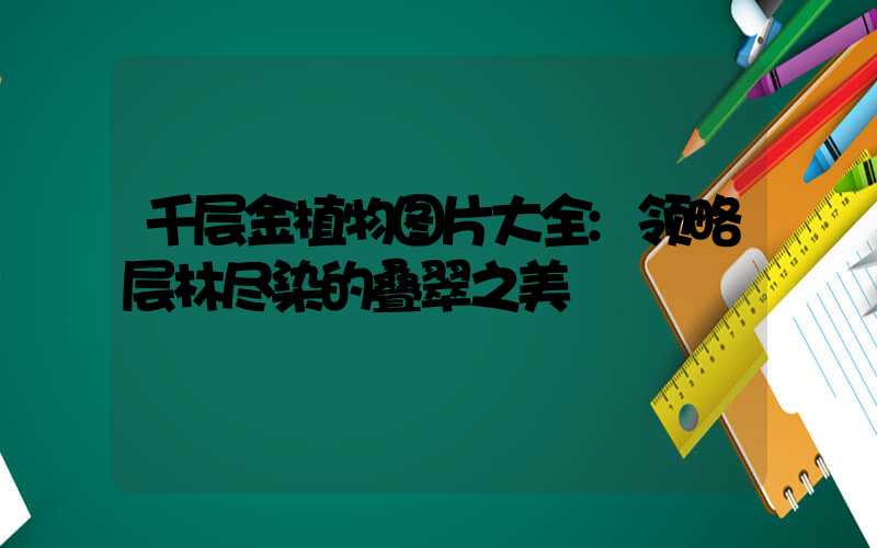 千层金植物图片大全:领略层林尽染的叠翠之美