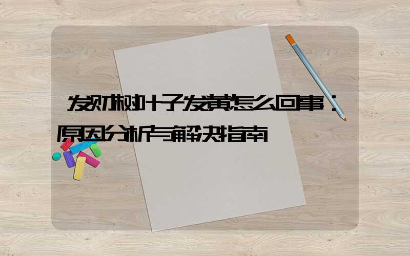 发财树叶子发黄怎么回事：原因分析与解决指南