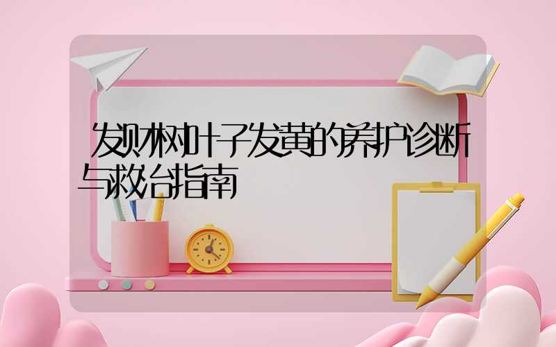发财树叶子发黄的养护诊断与救治指南