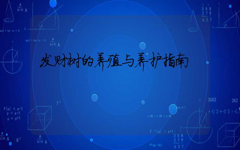 发财树的养殖与养护指南