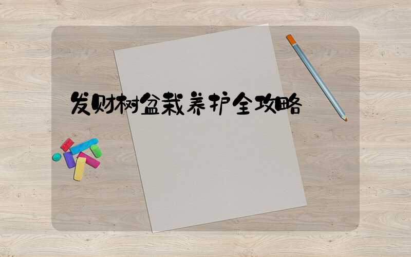 发财树盆栽养护全攻略