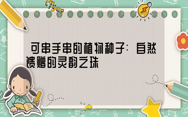 可串手串的植物种子:自然馈赠的灵韵之珠