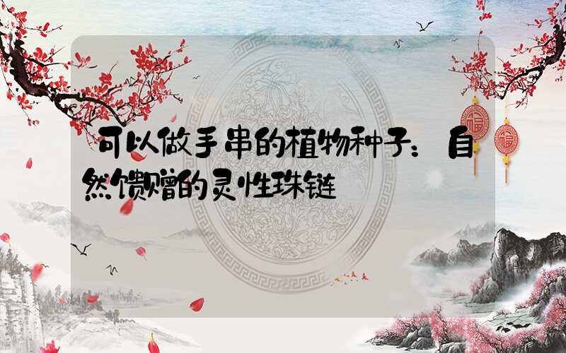 可以做手串的植物种子：自然馈赠的灵性珠链