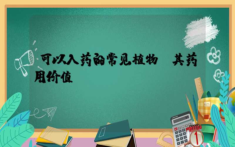 可以入药的常见植物及其药用价值