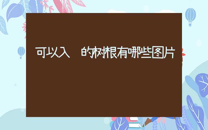 可以入药的树根有哪些图片