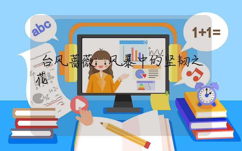 台风蔷薇:风暴中的坚韧之花