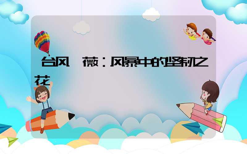 台风蔷薇：风暴中的坚韧之花