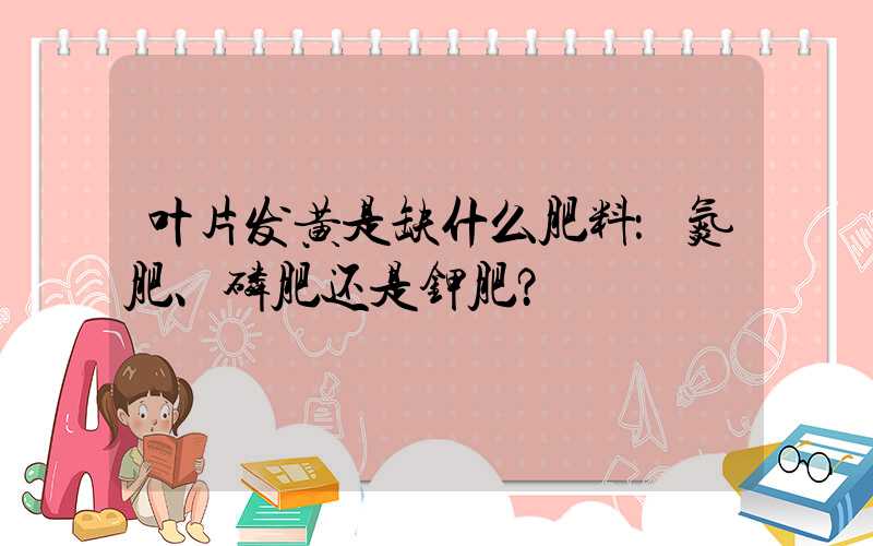 叶片发黄是缺什么肥料：氮肥、磷肥还是钾肥？