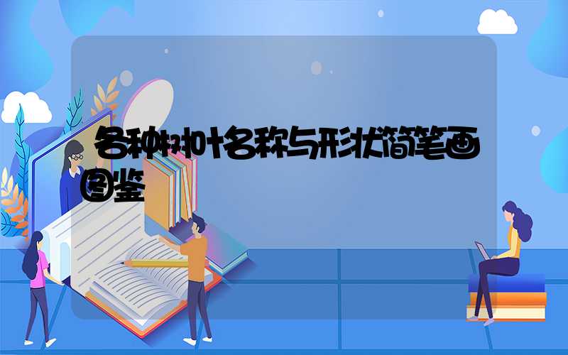 各种树叶名称与形状简笔画图鉴