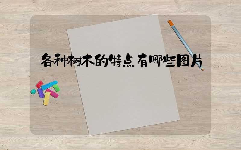 各种树木的特点有哪些图片