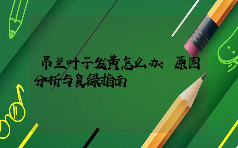 吊兰叶子发黄怎么办：原因分析与复绿指南