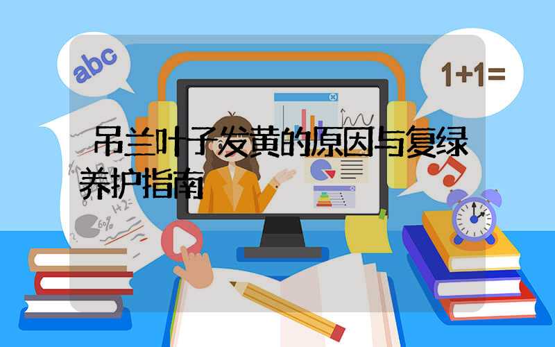 吊兰叶子发黄的原因与复绿养护指南