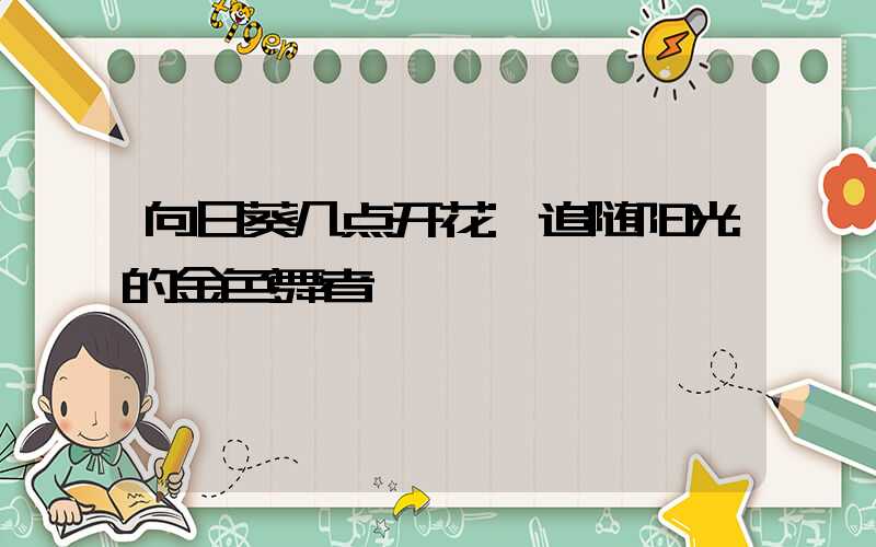 向日葵几点开花:追随阳光的金色舞者