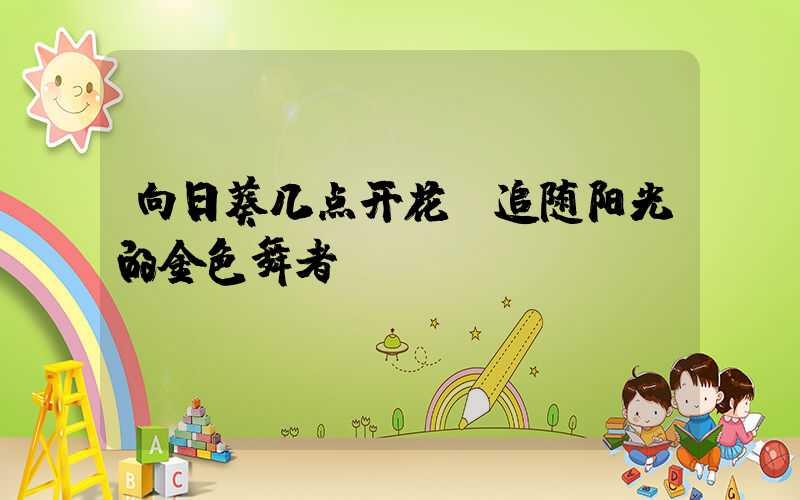 向日葵几点开花：追随阳光的金色舞者