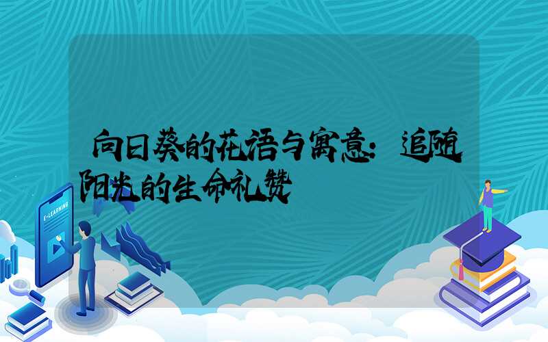向日葵的花语与寓意：追随阳光的生命礼赞