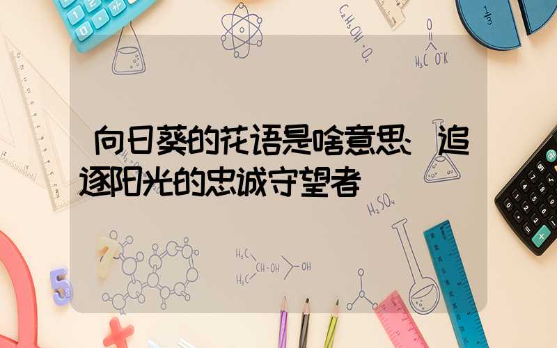 向日葵的花语是啥意思:追逐阳光的忠诚守望者