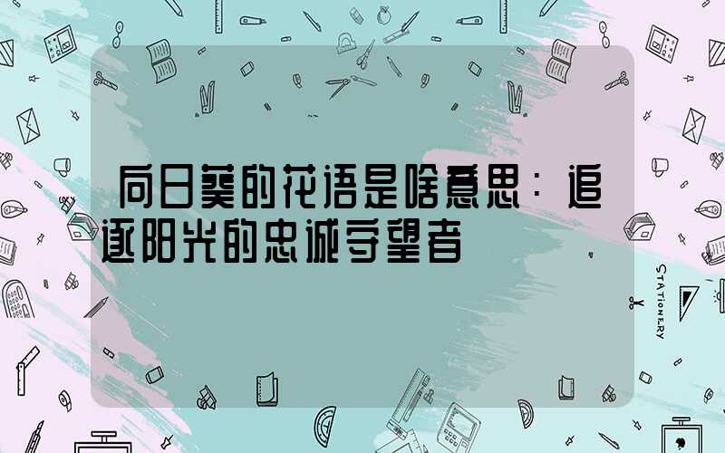 向日葵的花语是啥意思：追逐阳光的忠诚守望者