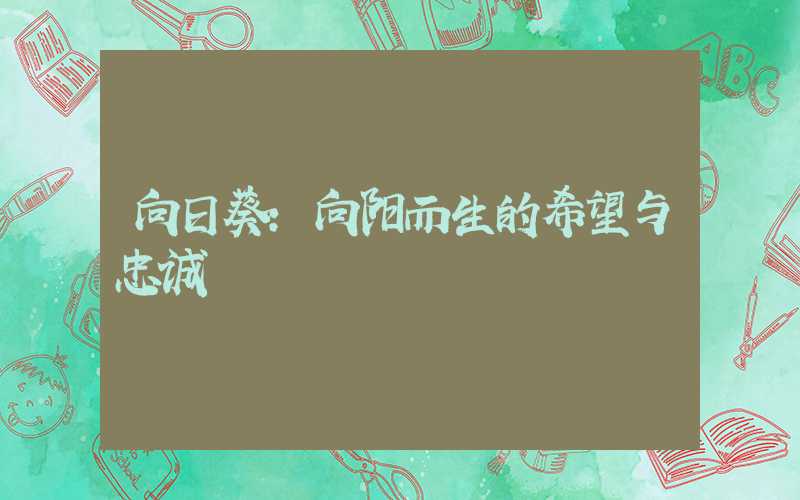 向日葵：向阳而生的希望与忠诚