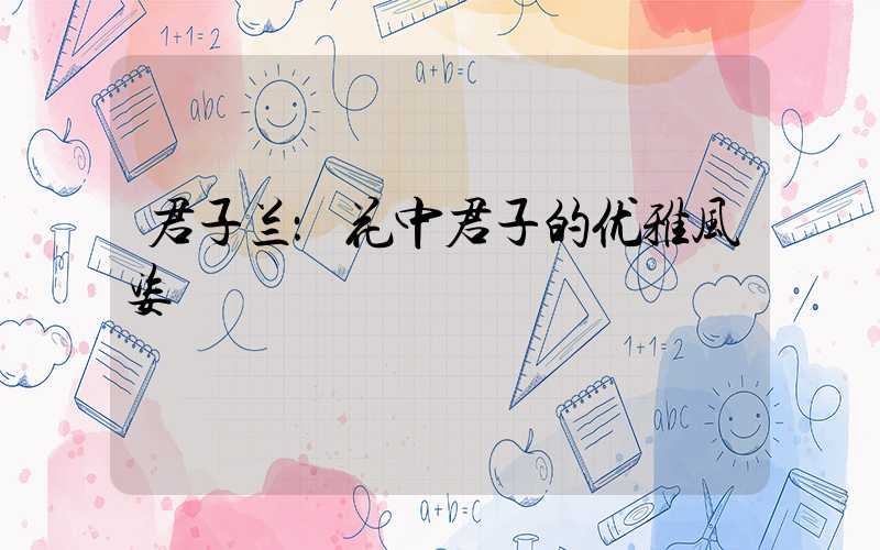 君子兰：花中君子的优雅风姿