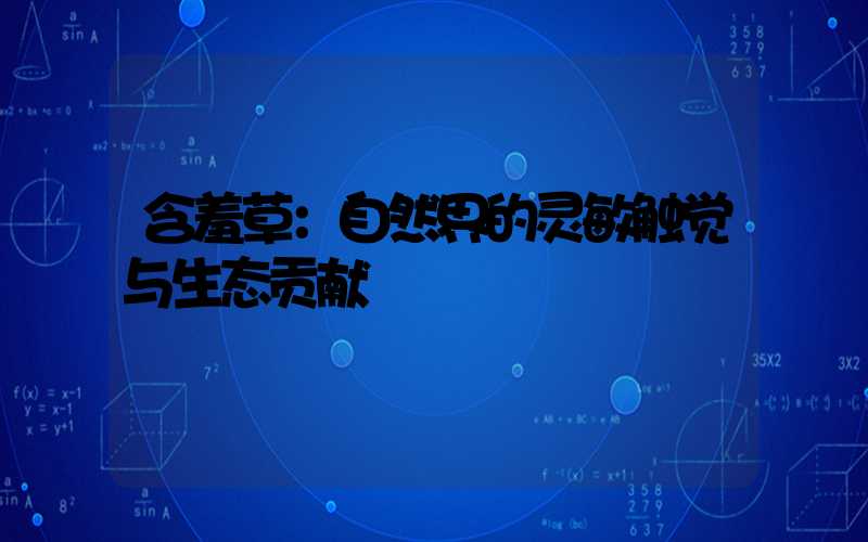 含羞草：自然界的灵敏触觉与生态贡献