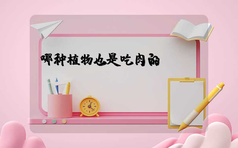 哪种植物也是吃肉的