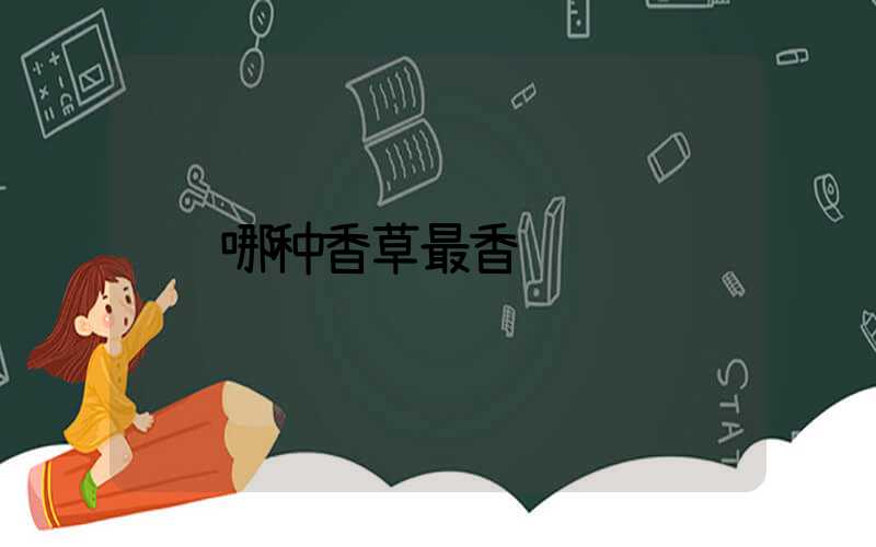 哪种香草最香