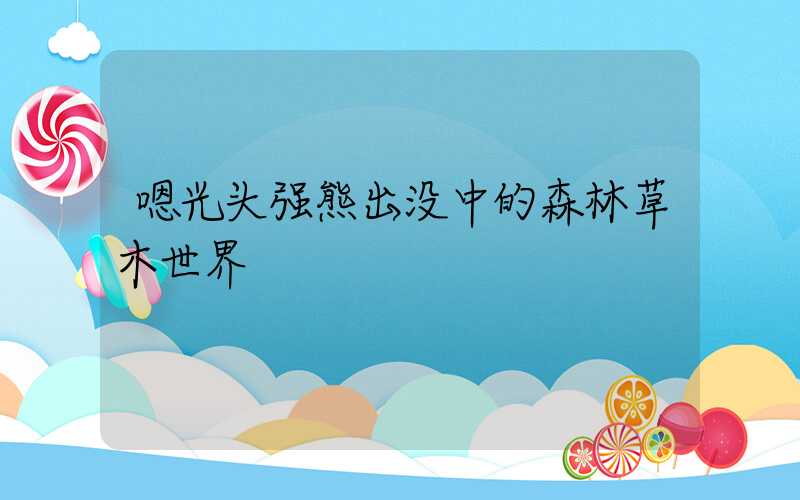 嗯光头强熊出没中的森林草木世界